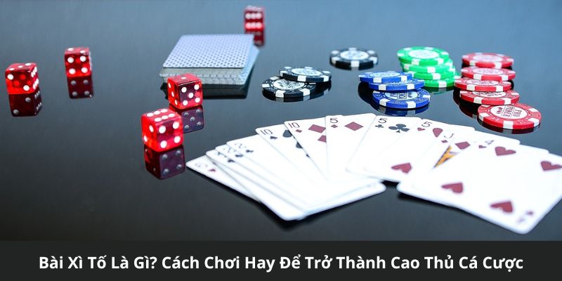 bài xì tố là gì
