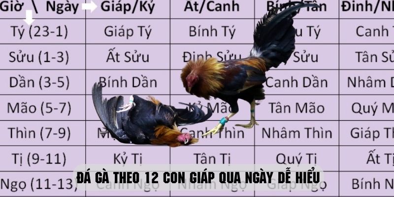 Đá gà 12 con giáp theo ngày